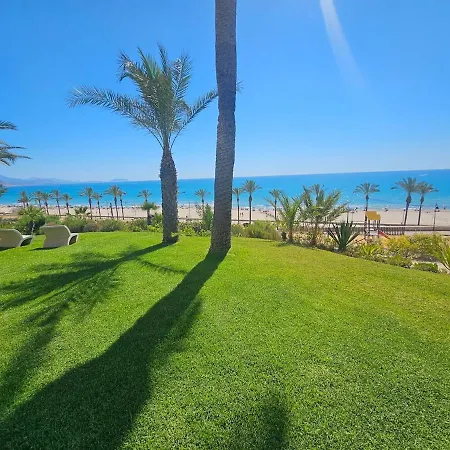 Tarja 6 & Golf Daire *